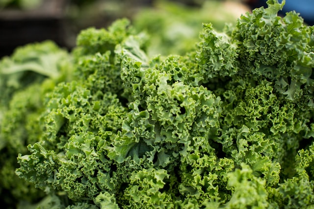 Contraindicaciones del Kale