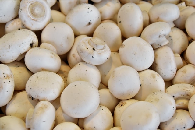 Beneficios de los champiñones