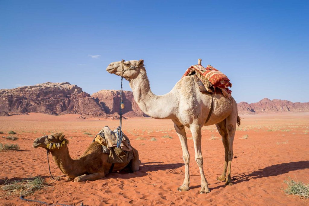 mejor época para viajar a Jordania