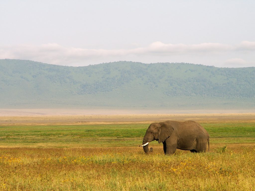 mejor época para viajar a Tanzania