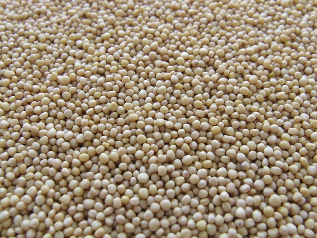 Beneficios de la lecitina de soja