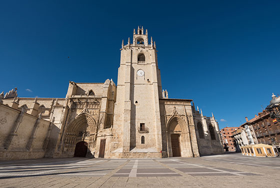 catedral de Palencia