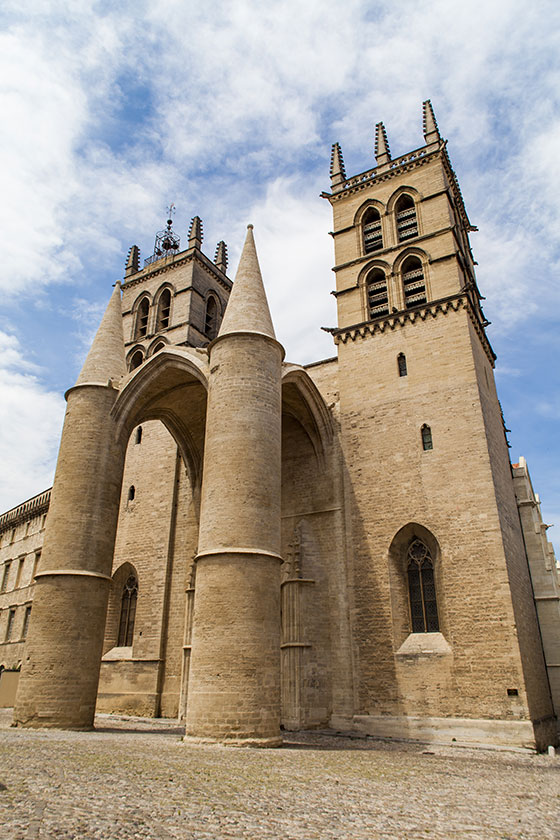 Catedral de San Pedro