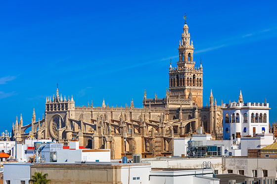 catedral de Sevilla