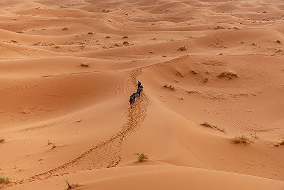 desierto del Sahara