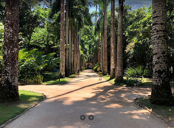 Jardín Botánico