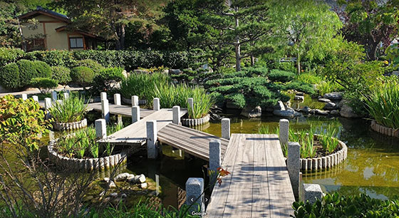 Jardín Japonés