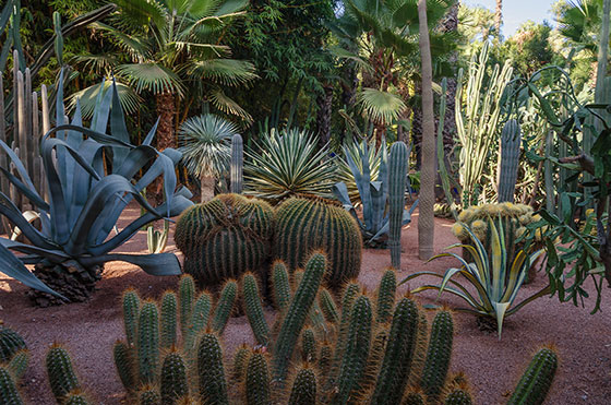 Jardines Majorelle