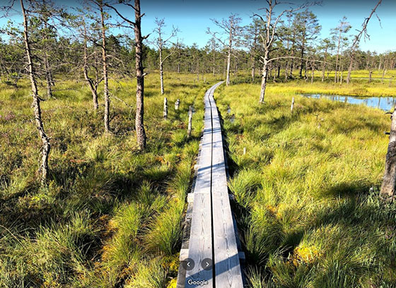 Parque Nacional Lahemaa