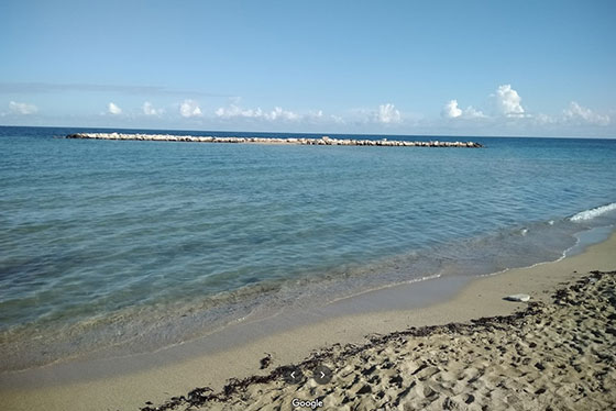 Playa Panne y Pomodoro