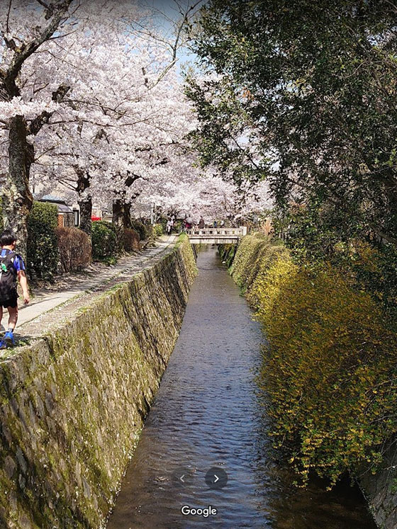 Puente Nyakuoji