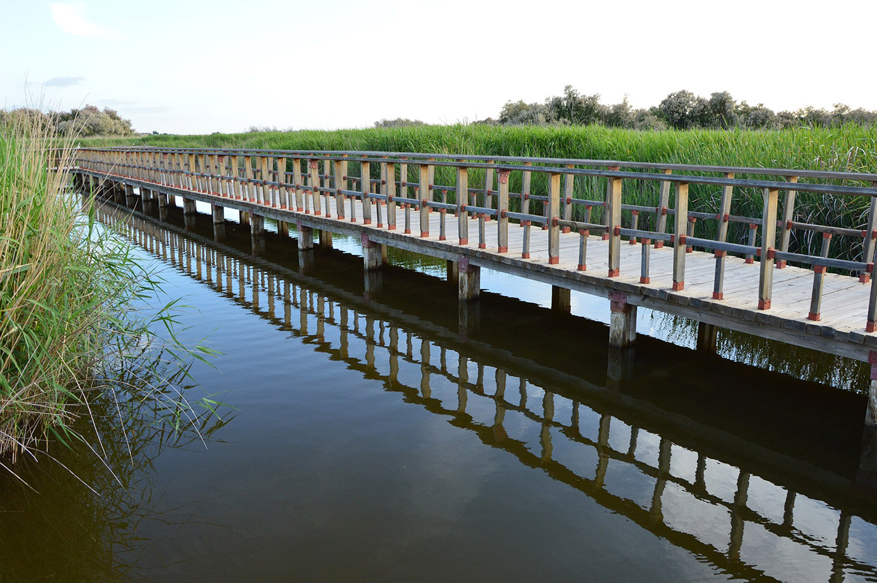 Qué ver en Daimiel