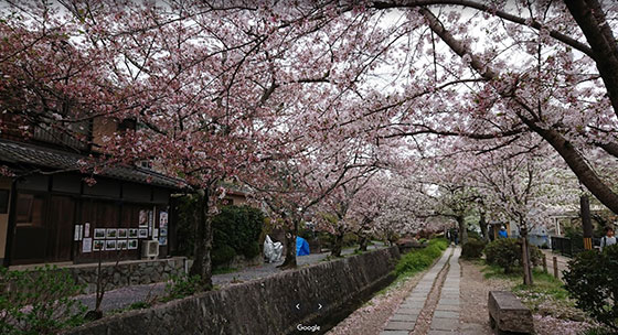 Tetsugaku-michi